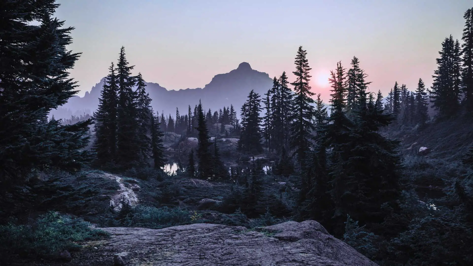 A purple and pink sunset behind silhouetted mountains and evergreen trees on a page that explains why Avery offers stress management for high achievers